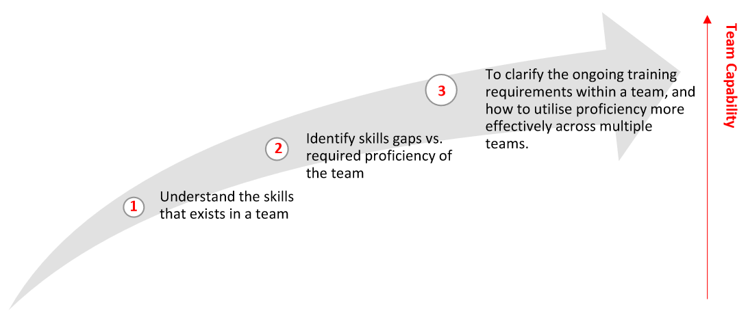 Skills Matrix - Evolution of usage case study by ability6 in 2019 published in 2020